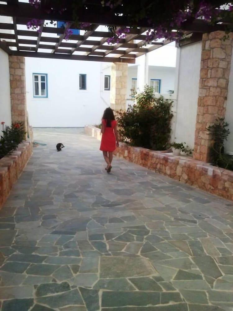 Glaronisia Hotel بولونيا المظهر الخارجي الصورة